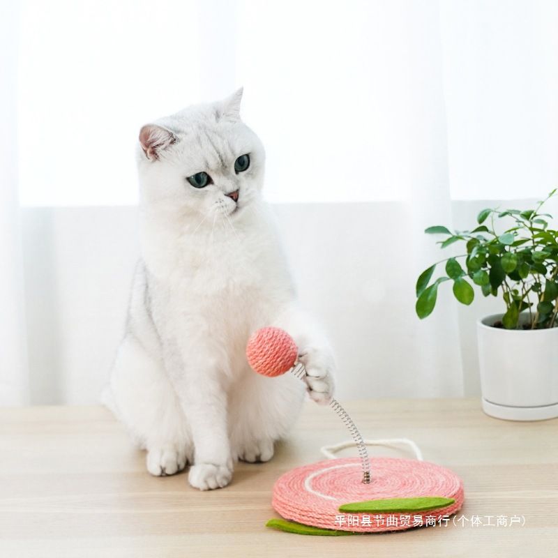 猫 おもちゃ くるくるフルーツボール猫の知育玩具