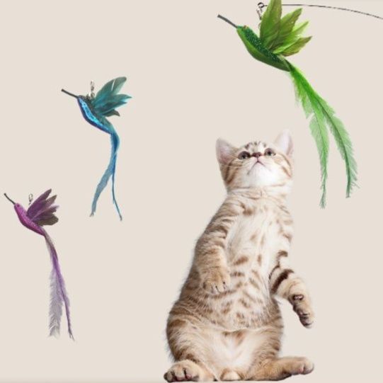 猫 おもちゃ 鳥の羽根付き ゆらゆら猫じゃらし