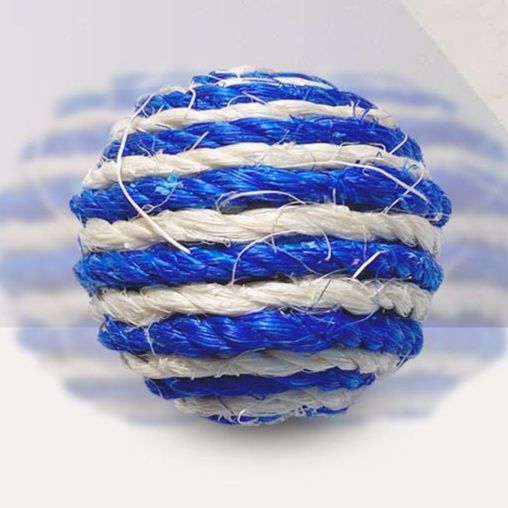 https://fulmo-img-server.com/party-cat/1751037904865_w60f4bc2_o21opgno.jpeg