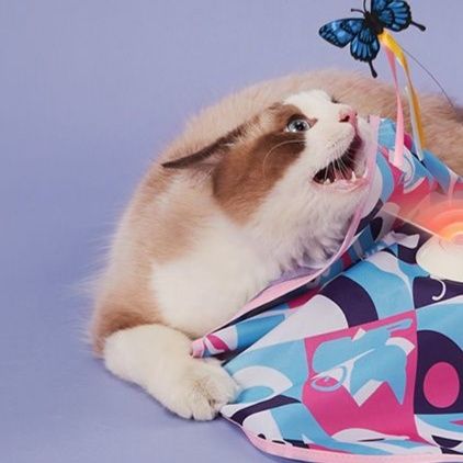 猫 おもちゃ 蝶々舞い踊る猫用ハンター回転盤