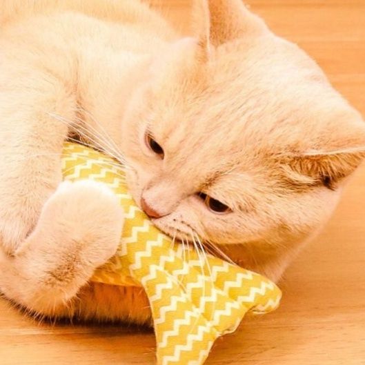 猫 おもちゃ ふわもふお魚キッカー