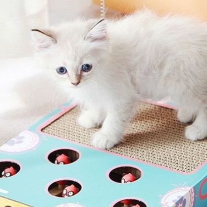 猫 おもちゃ もぐもぐハンター猫の知育パズル