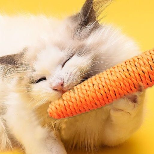 猫 おもちゃ にんじんシリーズ 猫じゃらし 歯磨きおもちゃ