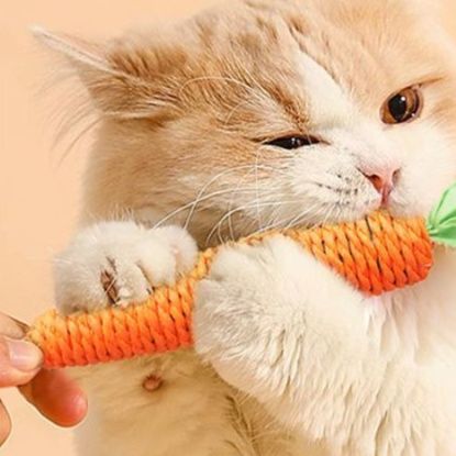 猫 おもちゃ にんじんシリーズ 猫じゃらし 歯磨きおもちゃ
