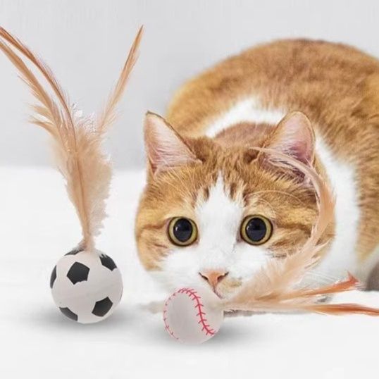 https://fulmo-img-server.com/party-cat/1751081757843_aljjayyf_n0xuhp0q.jpeg