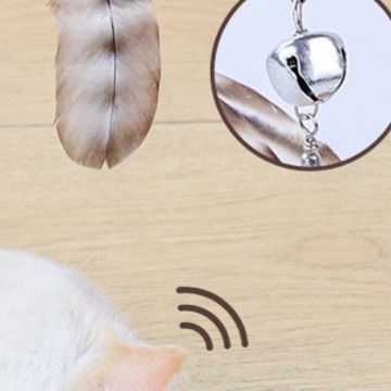 https://fulmo-img-server.com/party-cat/1751082534526_eh1x602b_7a6d8cen.jpeg