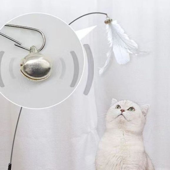 https://fulmo-img-server.com/party-cat/1751082607137_e6uh9s2x_y79ari6i.jpeg