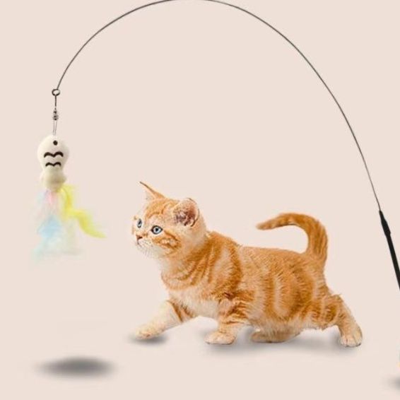 https://fulmo-img-server.com/party-cat/1751083075248_6bw5o0ks_m4ytsv9a.jpeg