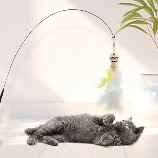 https://fulmo-img-server.com/party-cat/1751083090691_4tw271hv_66nxi5r8.jpeg