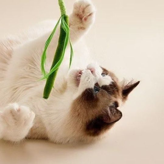 猫 おもちゃ ゆらゆら草葉の猫じゃらし