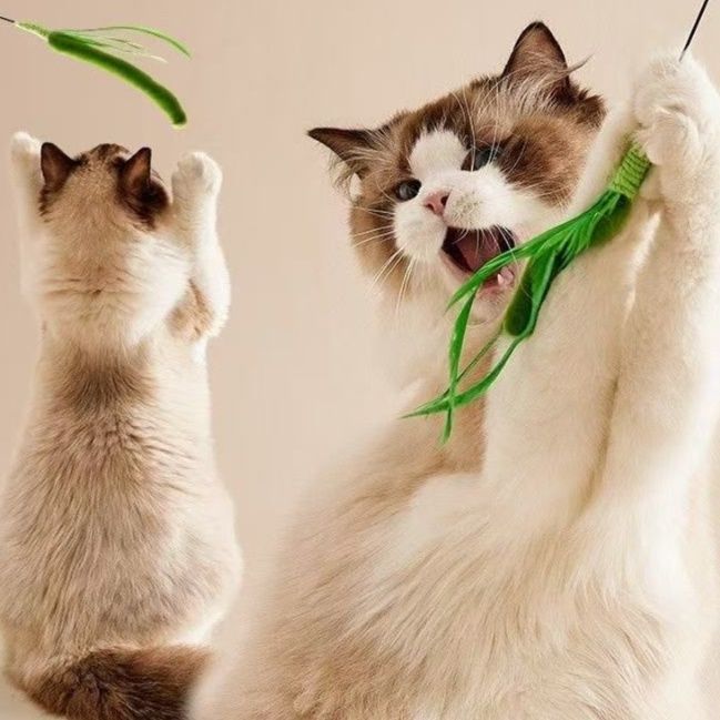 猫 おもちゃ ゆらゆら草葉の猫じゃらし