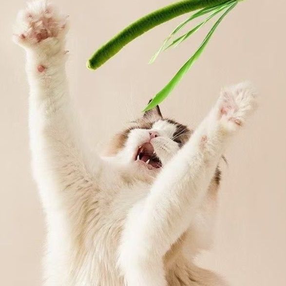 猫 おもちゃ ゆらゆら草葉の猫じゃらし