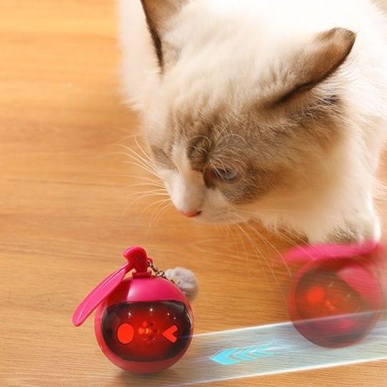 https://fulmo-img-server.com/party-cat/1751113027262_3q2r32or_my6z5l07.jpeg
