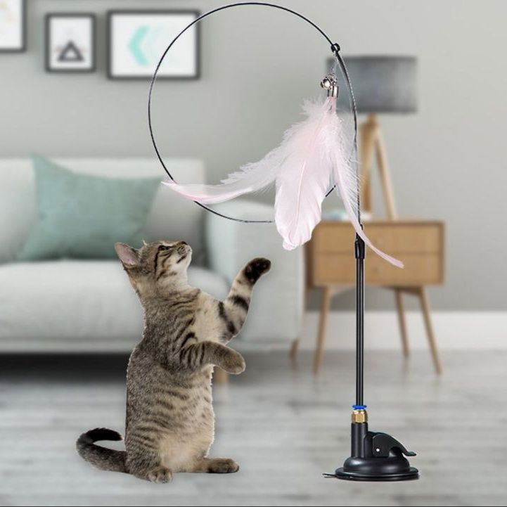 https://fulmo-img-server.com/party-cat/1751173660705_v3mw21wo_pux1rk2p.jpeg