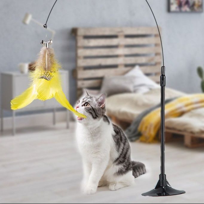 https://fulmo-img-server.com/party-cat/1751173703002_hbpgs1ti_t69u6usv.jpeg