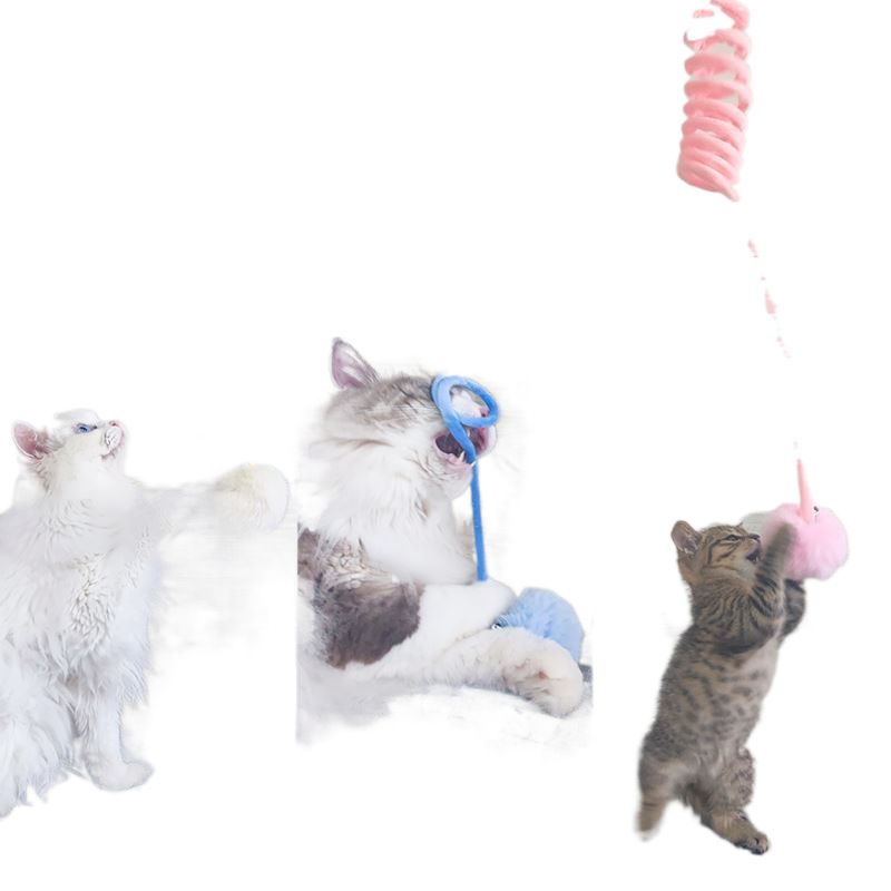 https://fulmo-img-server.com/party-cat/1751174952071_d6sg08ky_6uyky55f.jpeg