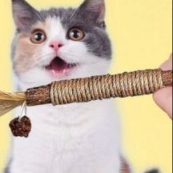 猫 おもちゃ 天然素材の歯磨き麻縄じゃらし