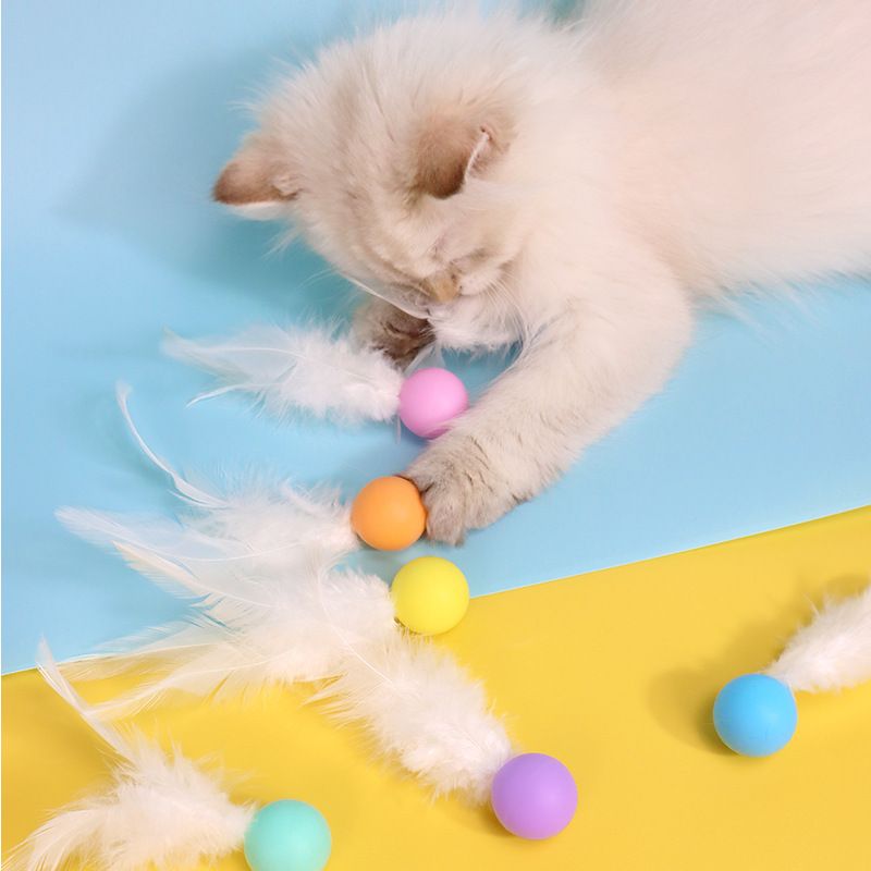https://fulmo-img-server.com/party-cat/1751175588238_sjckk9sb_ll6sr1zk.jpeg