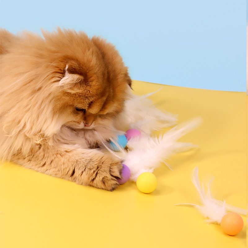 https://fulmo-img-server.com/party-cat/1751175589279_ta7iwzav_ejh8p48u.jpeg