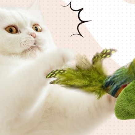 https://fulmo-img-server.com/party-cat/1751176766494_4dumpdf9_5m7623uq.jpeg