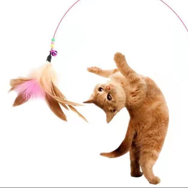 https://fulmo-img-server.com/party-cat/1751176913741_7iset4sn_l2r5jw8z.jpeg