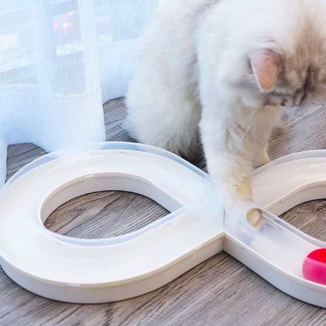 猫 おもちゃ 無限ループ玉転がし知育玩具