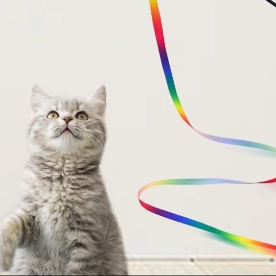猫 おもちゃ 夢中長時間！ふわふわリボンじゃらし