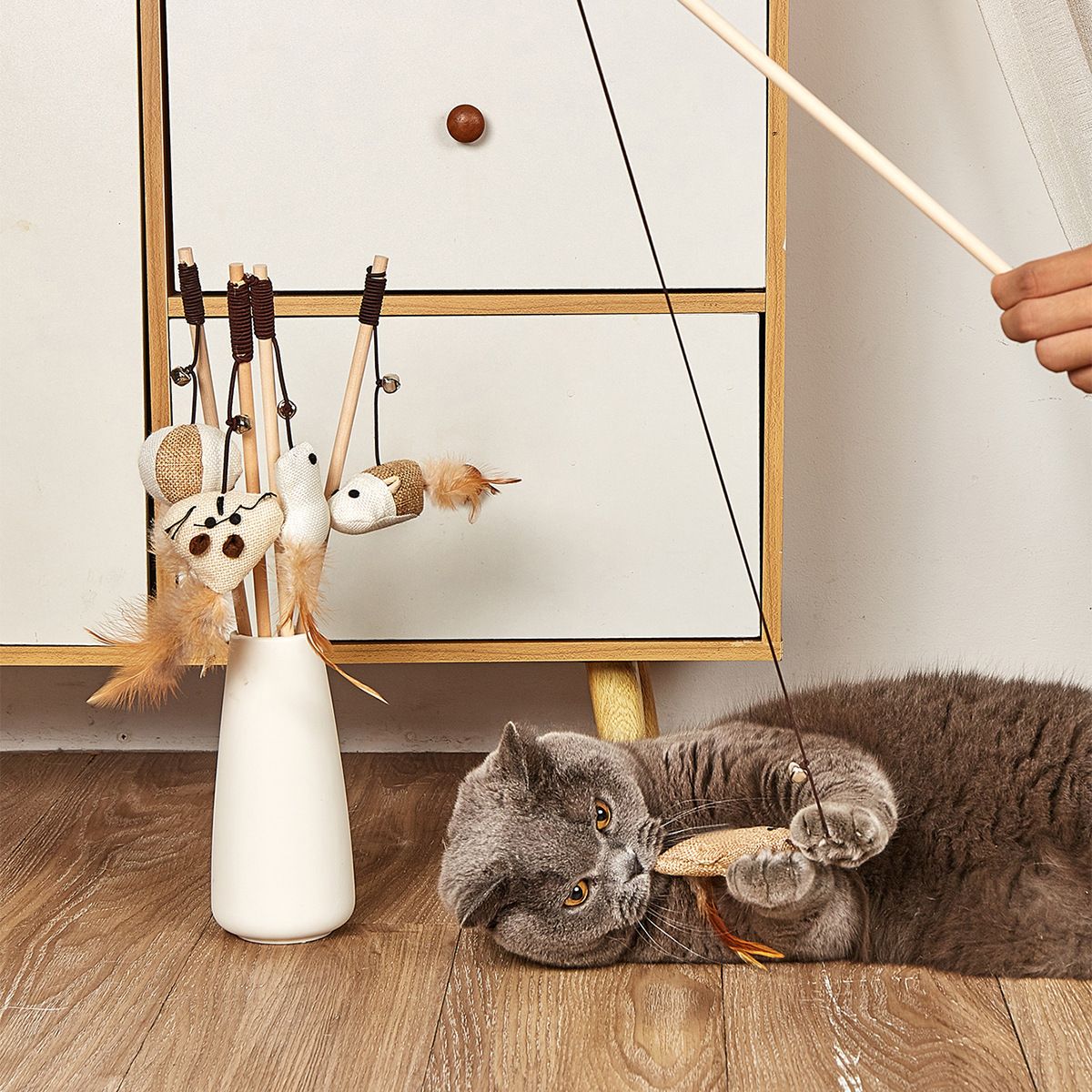 https://fulmo-img-server.com/party-cat/1751178249028_wjtetave_katq7isz.jpeg