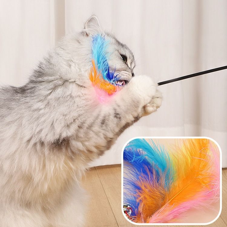 https://fulmo-img-server.com/party-cat/1751178444315_irwavexj_fvgcqxmy.jpeg