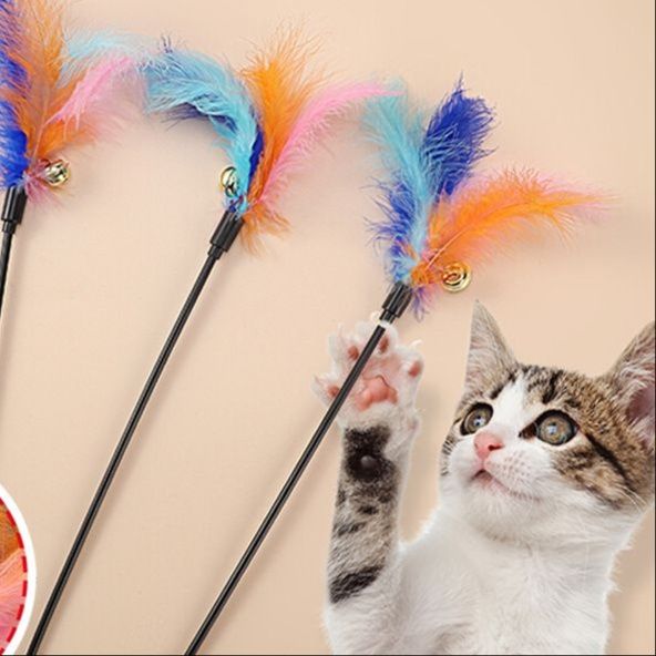 https://fulmo-img-server.com/party-cat/1751178654551_3dxig1m5_jlpldqga.jpeg