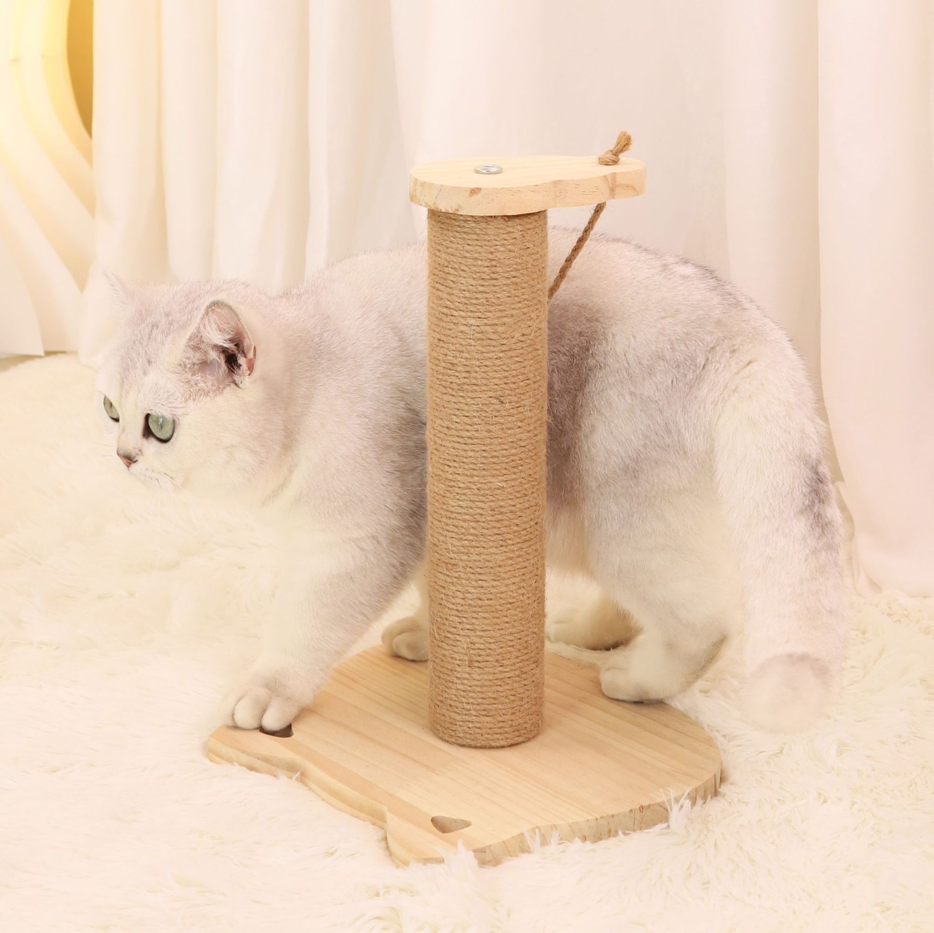 猫 おもちゃ 麻巻きポール付き知育玩具