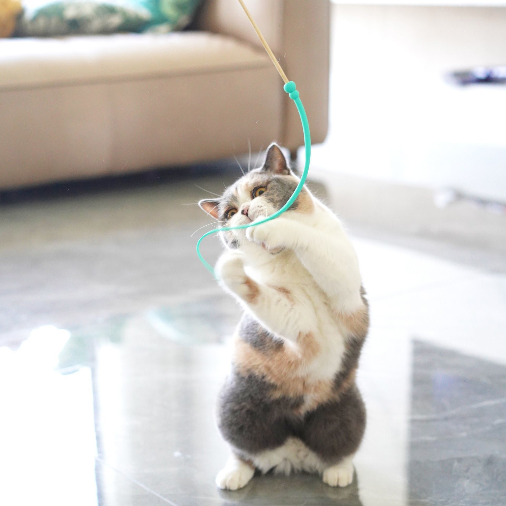 猫 おもちゃ もてあそび棒 知育玩具