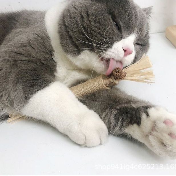 猫 おもちゃ 天然麻巻き おしゃぶりスティック