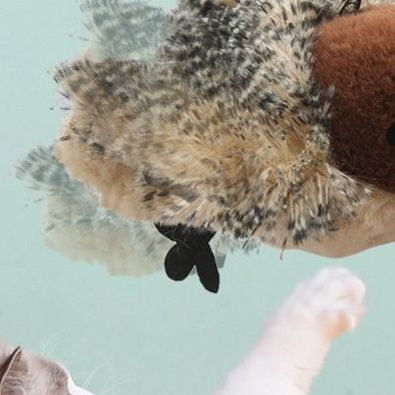 猫 おもちゃ ふわふわ羽根の小鳥じゃらし