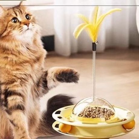  https://fulmo-img-server.com/party-cat/1751183850335_t6wffc8x_tu5h4b75.jpeg