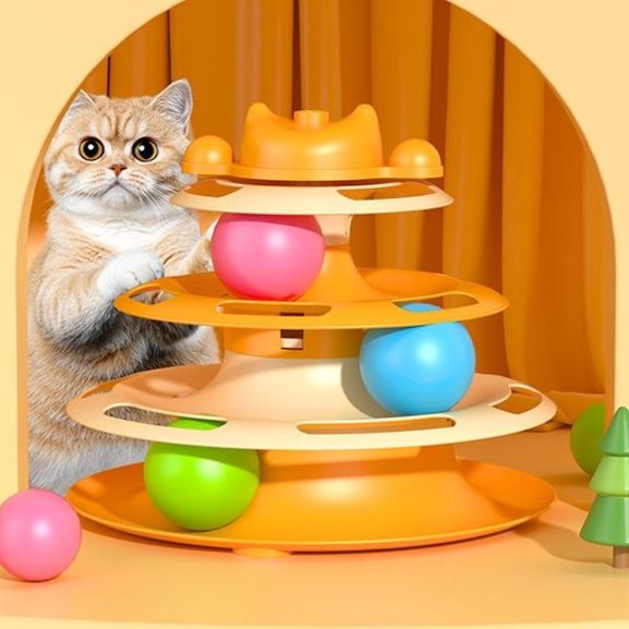 https://fulmo-img-server.com/party-cat/1751184285704_t7ov41d8_9rpe5rdj.jpeg