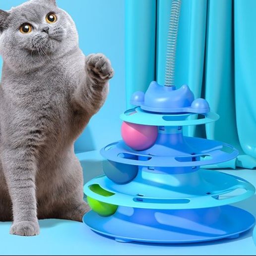 https://fulmo-img-server.com/party-cat/1751184298859_s3yptf1i_ry59on7k.jpeg