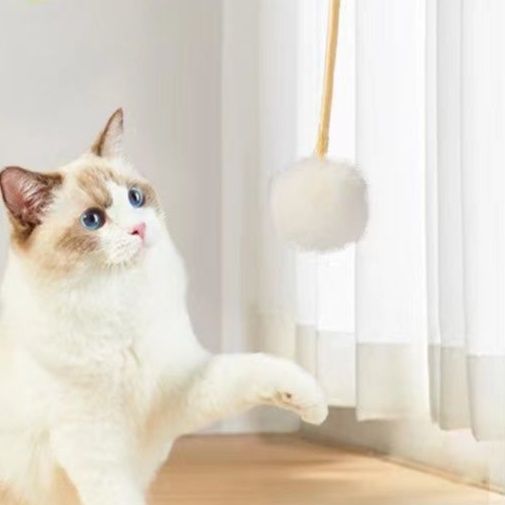 猫 おもちゃ 吊り下げ式 ボール付き伸縮猫じゃらし