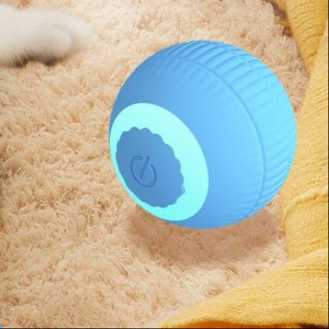 https://fulmo-img-server.com/party-cat/1751184857352_13salq66_zyne3ckj.jpeg