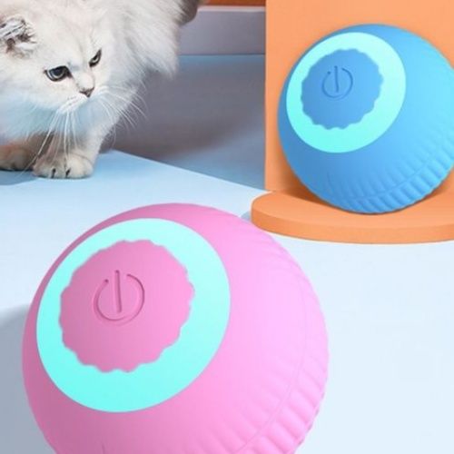 https://fulmo-img-server.com/party-cat/1751184871299_ztn2d353_1xavv73f.jpeg