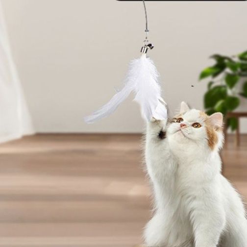 猫 おもちゃ シンプル吸盤式 回転羽根じゃらし
