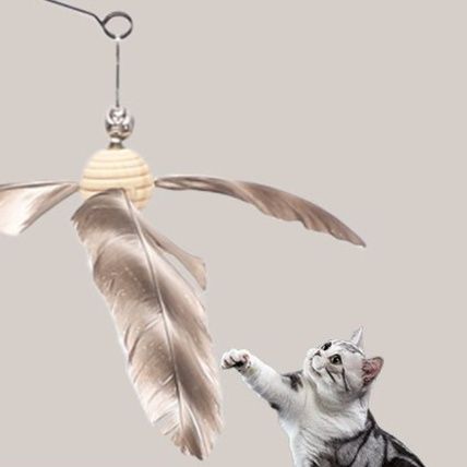 https://fulmo-img-server.com/party-cat/1751185220009_71ykydzy_zl0dtt17.jpeg