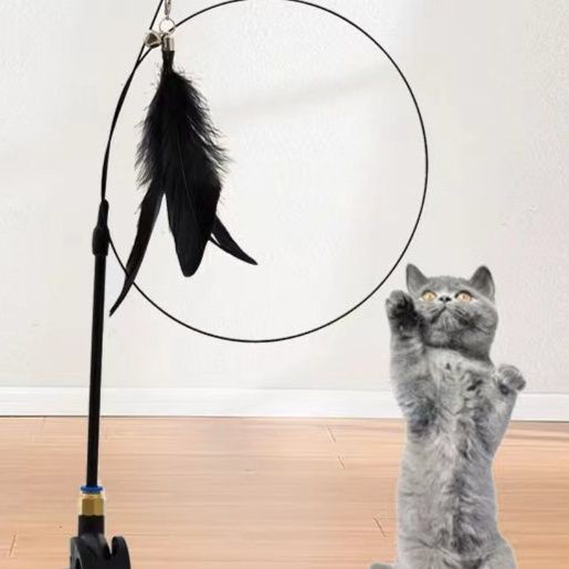 https://fulmo-img-server.com/party-cat/1751185547267_5vkhu1zu_7zk52c1r.jpeg