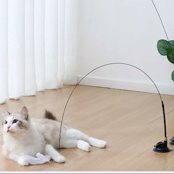 https://fulmo-img-server.com/party-cat/1751185578442_nb0tpzb8_khv5twb8.jpeg