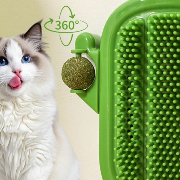 https://fulmo-img-server.com/party-cat/1751185804133_hswucv9q_ru7pofy4.jpeg