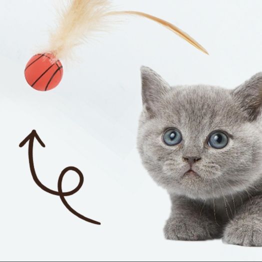 猫 おもちゃ 羽根付きスポーツボール猫じゃらし