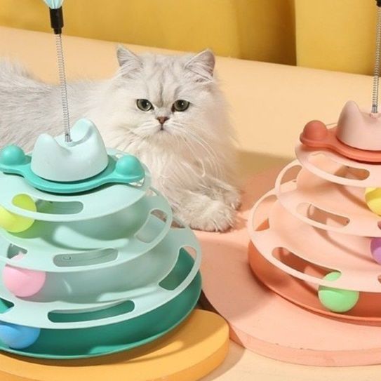 https://fulmo-img-server.com/party-cat/1751260653874_r5pjwb6f_og8lhze9.jpeg