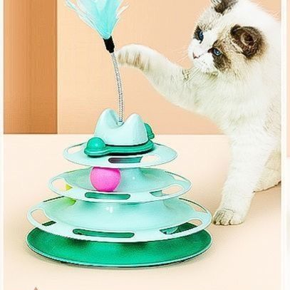 https://fulmo-img-server.com/party-cat/1751260665993_gxtpn5a7_dmkjii48.jpeg