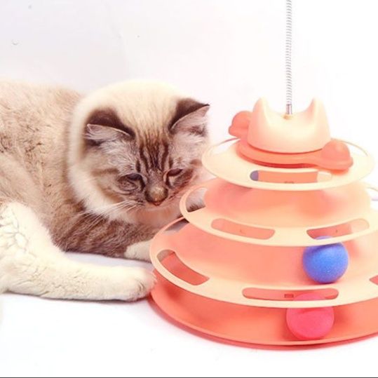 https://fulmo-img-server.com/party-cat/1751260676019_03jemttv_8k3yxg7w.jpeg