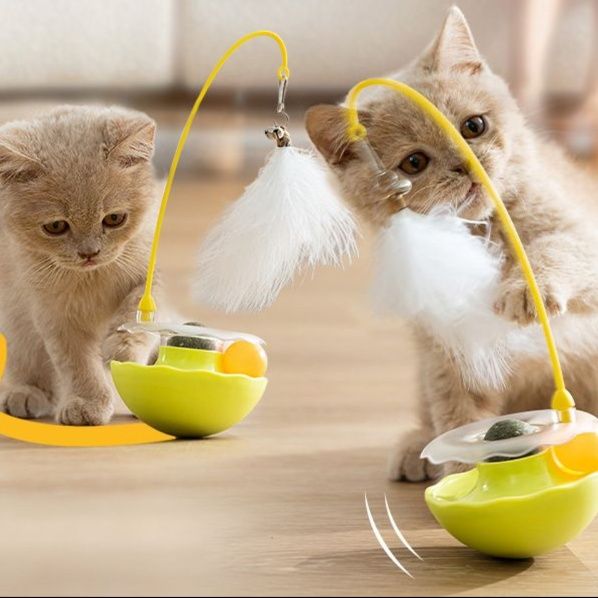 https://fulmo-img-server.com/party-cat/1751260811423_250t2xf1_5oxlbg8f.jpeg